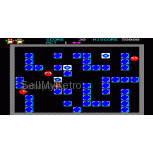 Sinclair QL Arcade Game: QL Pengi