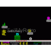 Sinclair ZX Spectrum Game: Kosmic Kanga