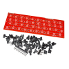 Sinclair ZX Spectrum Leningrad 2 48 Kb DIY and Keyboard DIY & FDD Controller & Expanded Me
