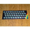 ZX Max 48 keyboard overlay sticker